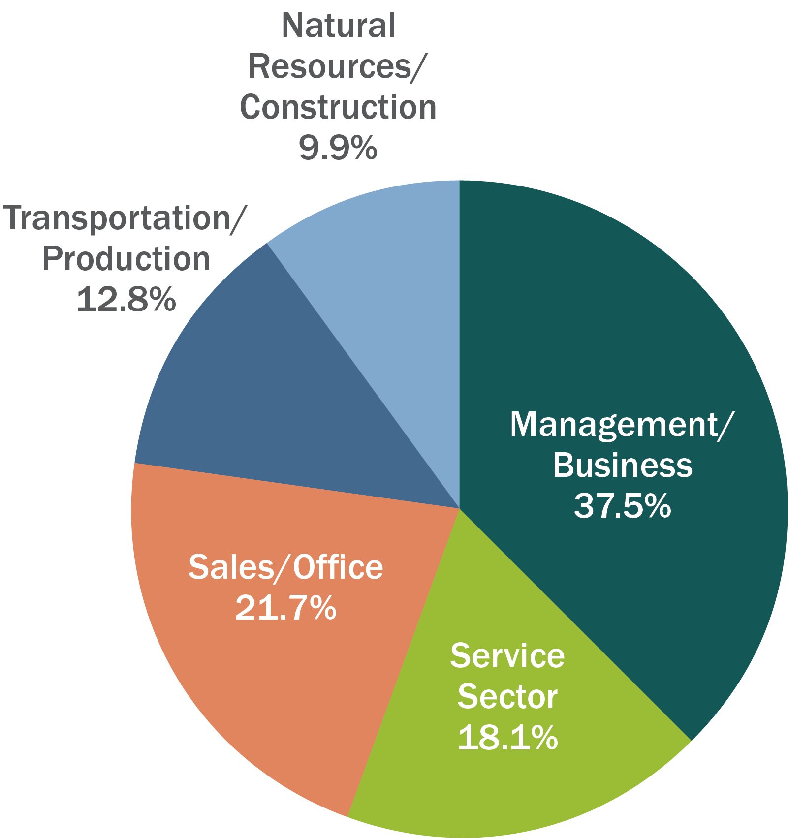 Chart shows 37.5% of residents are employed in the business sector, 21.7% is sales, 12.8% in transportation and 9.9% in natural resources.