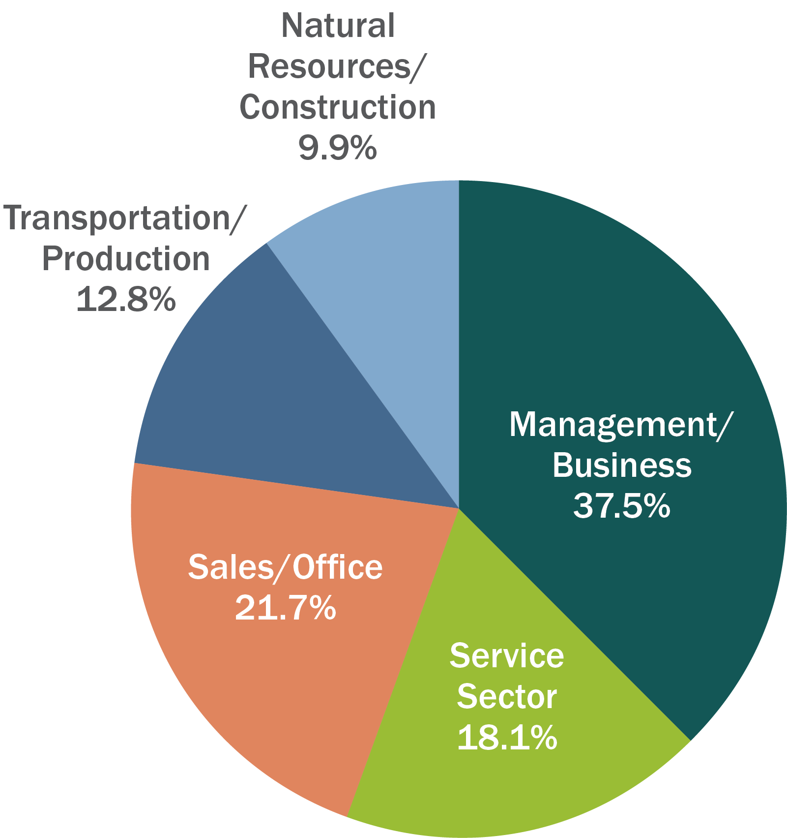 Chart shows 37.5% of residents are employed in the business sector, 21.7% is sales, 12.8% in transportation and 9.9% in natural resources.