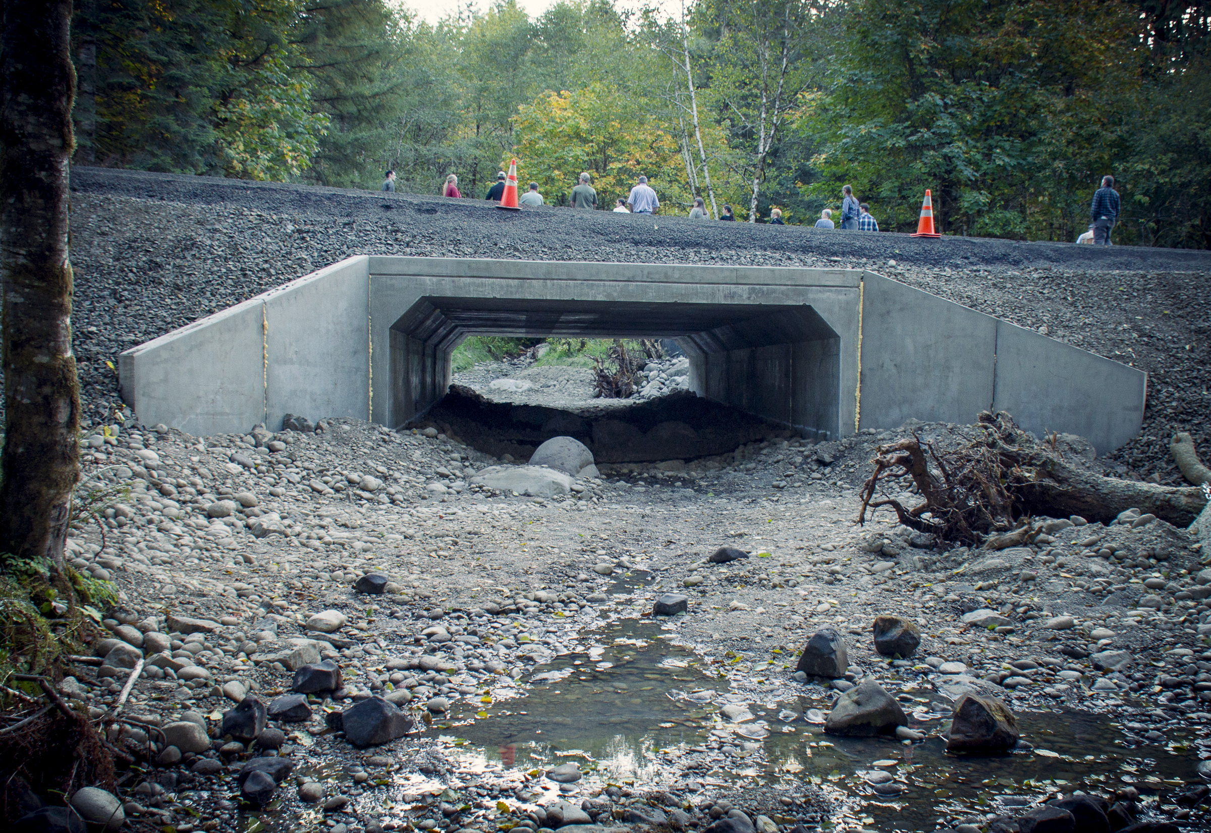 A photograph showing the view through a cement culvert under a roadway, with an uprooted tree in the foreground.