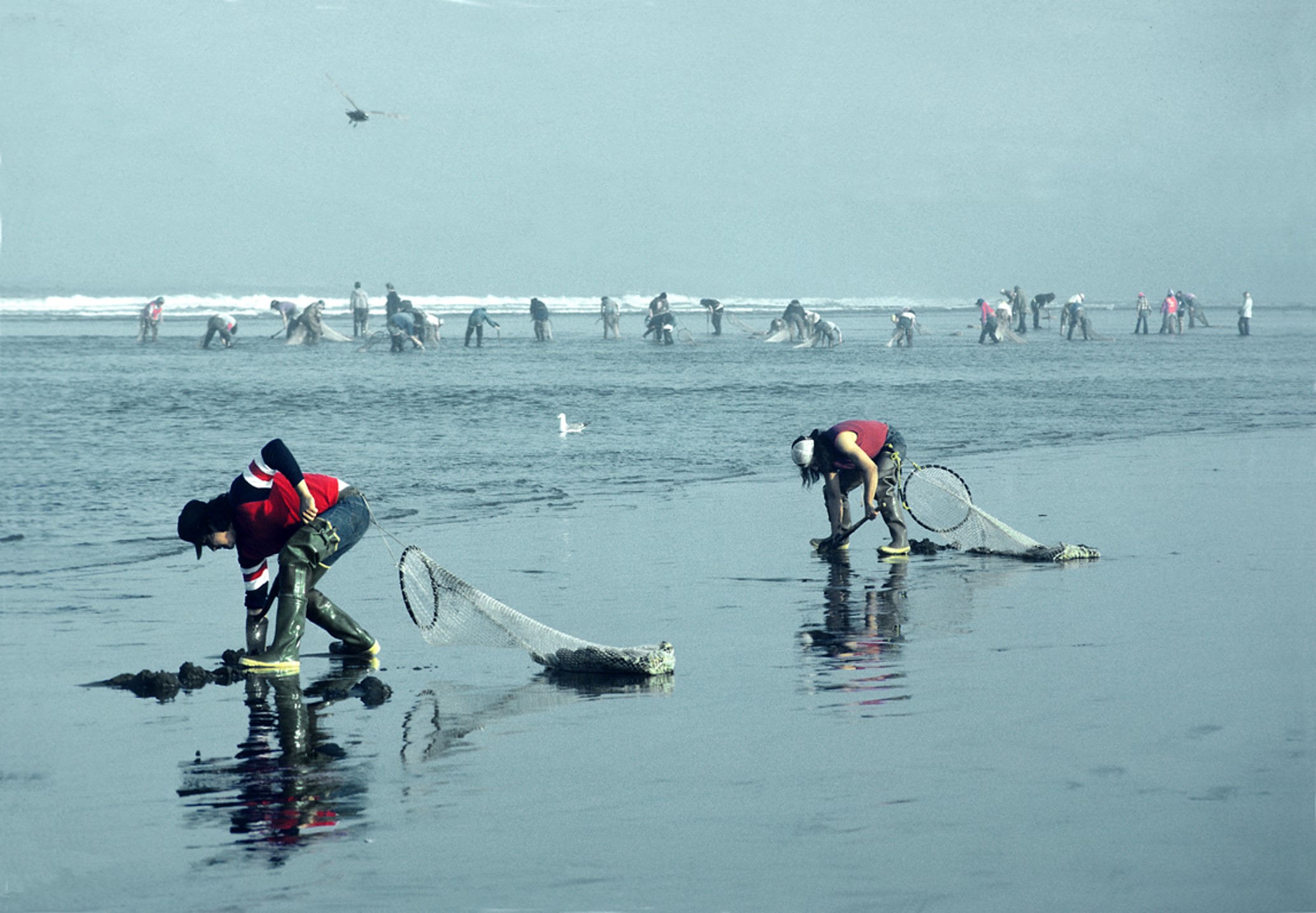 Members of Quinalt Indian Nation clamming at the mouth of the river.