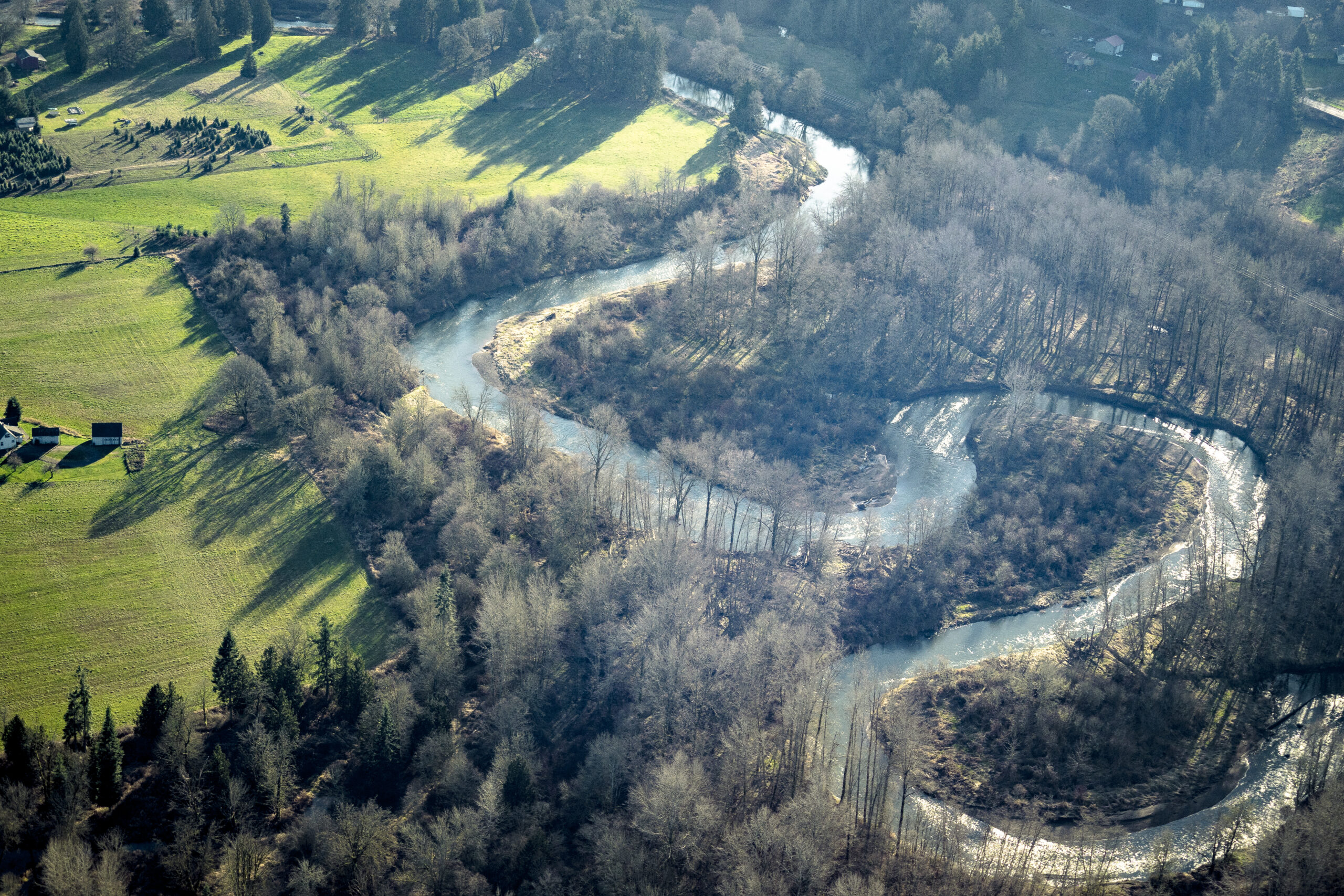 An aerial view of a meandering section of the Chehalis River.