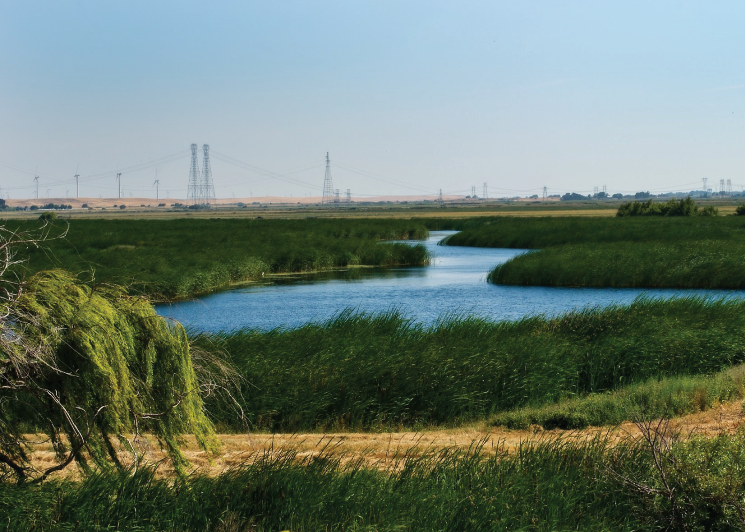 A photograph of a meandering river surrounded by marsh grasses, with transmission towers, powerlines, and wind turbines in the distance.